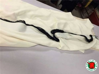 開家洗衣店需要多少錢?需要做哪些準(zhǔn)備工作?