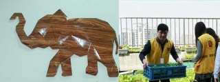 卡鉑連鎖洗衣加盟，挑對(duì)品牌讓你成為時(shí)代的佼佼者