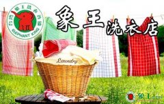 干洗店加盟最需要什么實(shí)力？